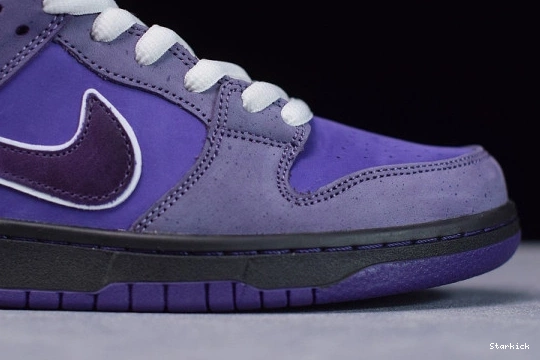 BV1310-555 Concepts Dunk Low SB Lobster Purple Nike 1008